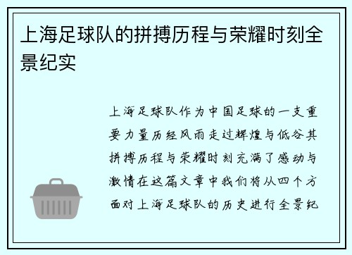 上海足球队的拼搏历程与荣耀时刻全景纪实