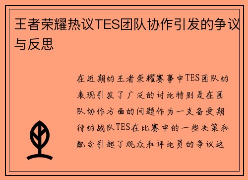 王者荣耀热议TES团队协作引发的争议与反思