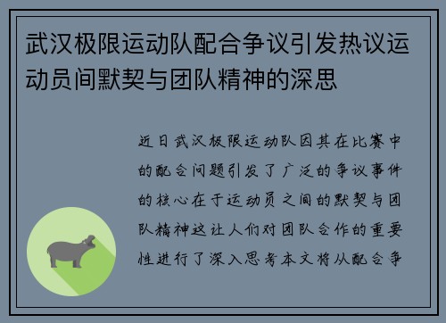 武汉极限运动队配合争议引发热议运动员间默契与团队精神的深思